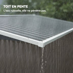 Abri de Jardin en Métal 234x132x185 cm